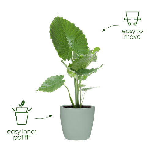 elho brussels rond wielen 47 sorbet groen | Bloempot | Geschikt voor binnen