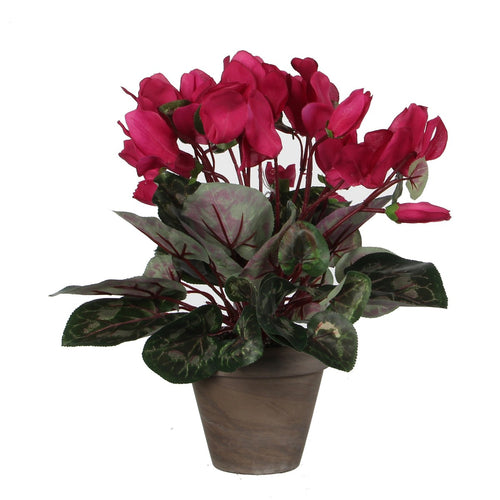 Mica Decorations Cyclaam Kunstplant in Bloempot Stan - H30 x Ø30 cm - Donkerroze