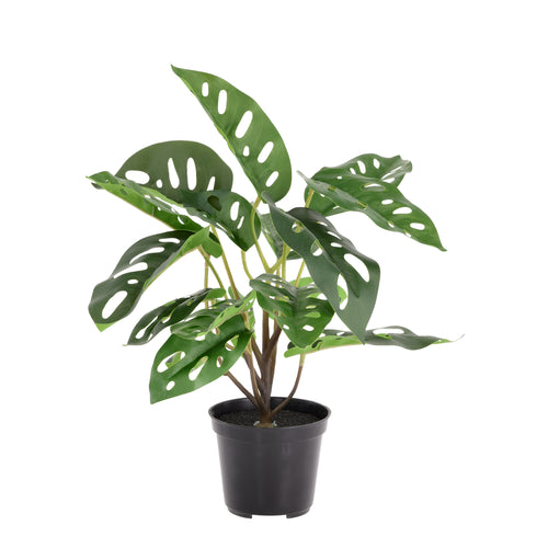 Maxifleur Monstera Adansonii kunstplant 30cm in kweekpot