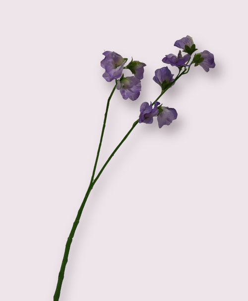 My Flowers.shop Lilakleurige lathyrus zijden bloem | Lengte 48 centimeter | Per stuk - vtwonen shop