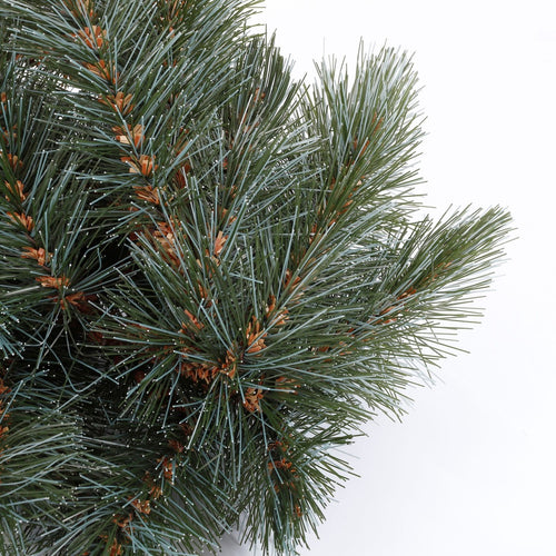 Triumph Tree Forest Frosted Guirlande - Kerstslinger Lengte 180 cm - Newgrowth Blue