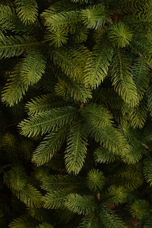 Black Box Trees Nagoya Kunstkerstboom - H120 x Ø79 cm - Groen - vtwonen shop