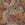 William Morris at Home Vliesbehang Acanthus - 10mx52cm