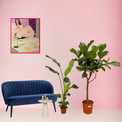 Trendyplants - Ficus Lyrata boom - 160 cm - Ø30cm + Strelitzia Nicolai - 130 cm - Ø17cm - vtwonen shop