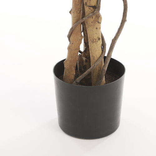 Mica Decorations Ficus Kunstplant - H110 x Ø70 cm - Groen Bont - vtwonen shop