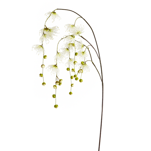 Sia Deco Kunstmatige Hangende Chrysant Spider Stengel - Wit - H145 - vtwonen shop