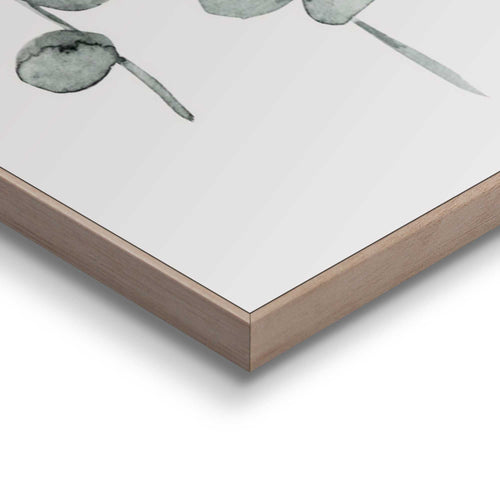Reinders schilderijen set Natuur - 30x20cm