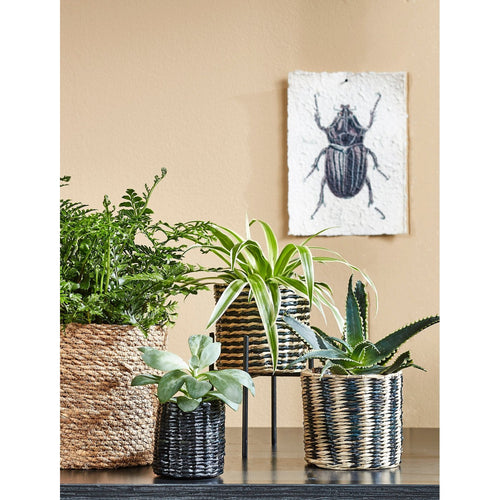 Mica Decorations Atlantic Plantenmand - Set van 3 - H16 x Ø16 cm - Zeegras - Lichtbruin