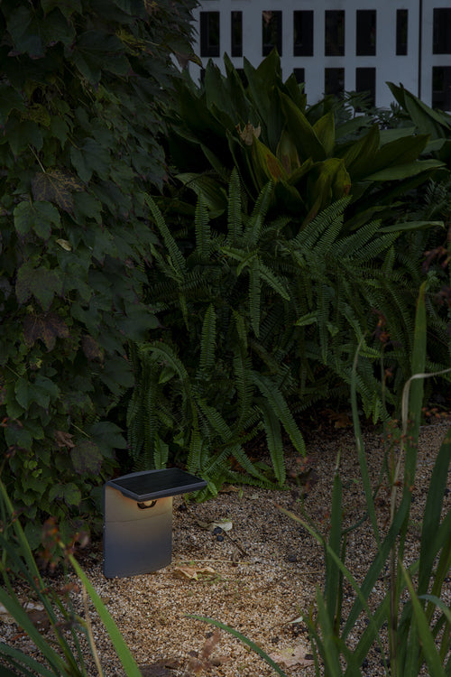 Faro Luma Luma LED buitenlamp op voetstuk, donkergrijs, IP65, 3000K