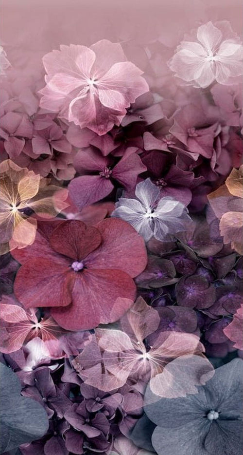 Erismann fotobehang hortensia's paars - 150 x 280 cm - 661075