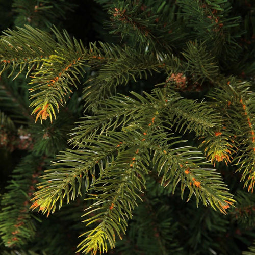 Black Box Trees Frasier Kerstboom - Kerstversiering voor Binnen met Natuurlijke Uitstraling - Kunstboom Grillige Vorm zoals Boom uit het Bos - H215 x