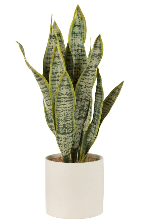 J-Line plant Sansevieria In Pot - kunststof - groen - extra large - vtwonen shop