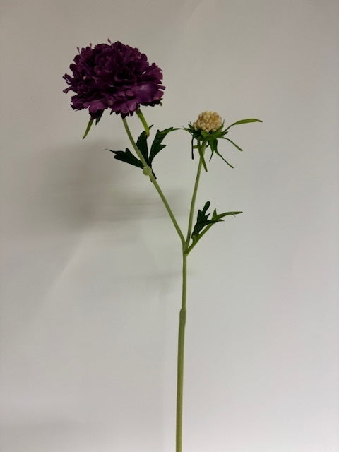 My Flowers.shop Paarse scabiosa zijden bloem | Lengte 59 centimeter | Per stuk - vtwonen shop