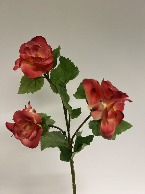 My Flowers.shop Roze korte begonia zijden bloem | Lengte 30 centimeter | Per stuk - vtwonen shop