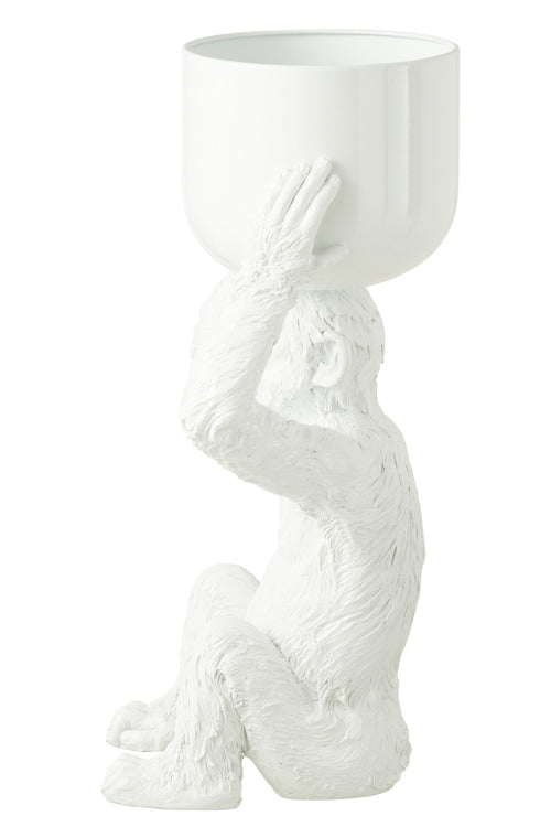 J-Line ijsemmer Aap - polyresin - wit