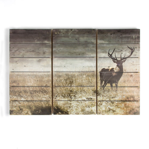 Art for the Home Print op Hout Set van 3 - Highland Hert - 60x90 cm - vtwonen shop