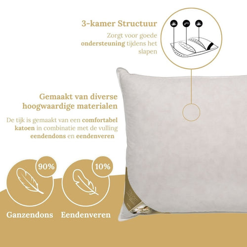 Ten Cate hoofdkussen - 3-kamer ganzendons - 60x70 - vtwonen shop