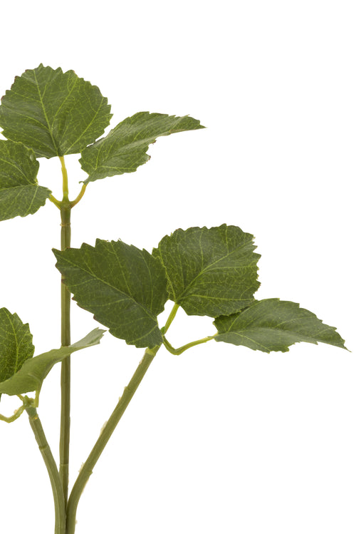 J-Line decoratie tak Hoppe - kunststof - groen - 36 stuks - vtwonen shop