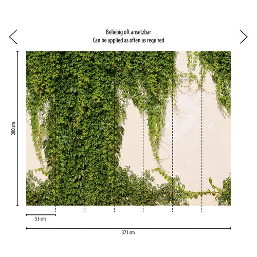 Livingwalls fotobehang klimop bladeren groen en crème - 371 x 280 cm - AS-392271