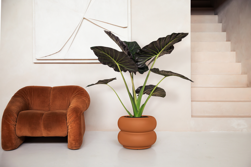 elho amber roll 60 karamel | Bloempot |Premium statementdesign
