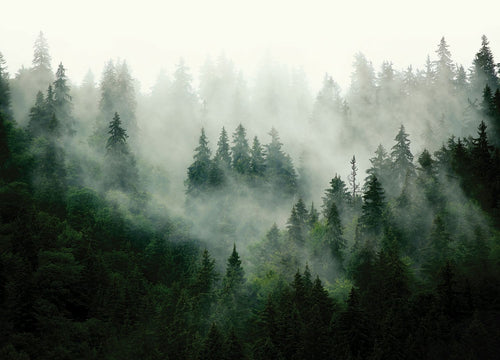 Sanders & Sanders fotobehang berglandschap met bomen groen - 270 x 375 cm - 601167