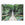 Art for the Home Canvas - Jungle Loopbrug - 75x100cm