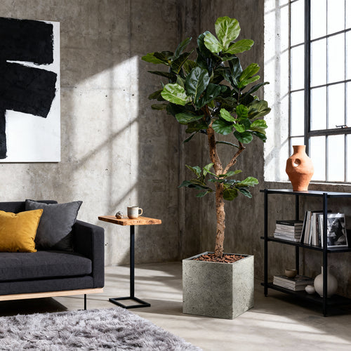 Maxifleur Lyrata Deluxe kunstboom Y stam 210cm
