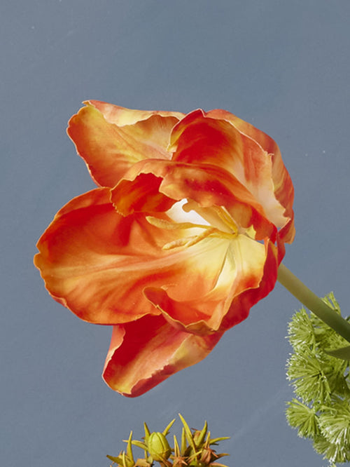 Madame Fleurie Floral Symphony Boeket inclusief Vaas – Luxe Zijden bloemen Tulpen, Delphinium & Pioenroos – Hollandse Meesterstijl - 15cm x 31m