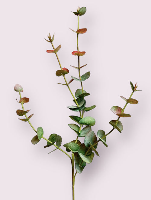 My Flowers.shop Groenroze eucalyptus zijden bloem | Lengte 60 centimeter | Per stuk - vtwonen shop