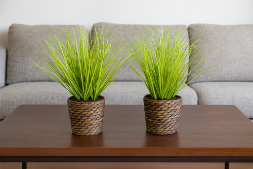 Flourify kunstplant - Siergras - 32 cm - bundel van 2