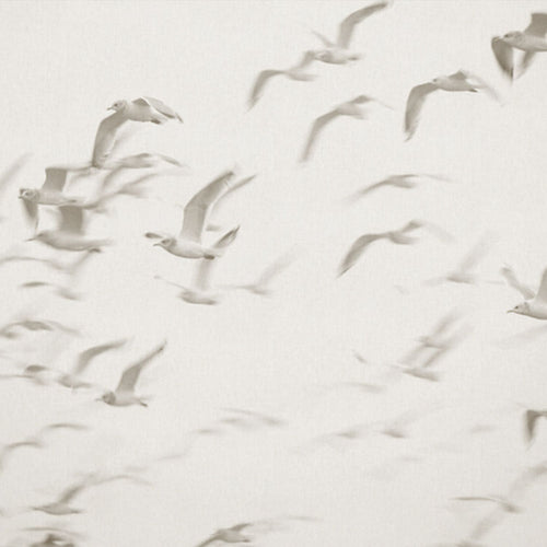 Sanders & Sanders fotobehang vogels beige - 424 x 280 cm - 640889