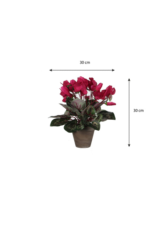 Mica Decorations Cyclaam Kunstplant in Bloempot Stan - H30 x Ø30 cm - Donkerroze