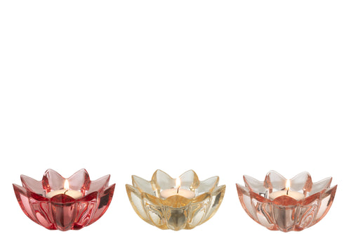 J-Line theelichthouder Bloem Warm - glas - mix - 3 stuks - vtwonen shop