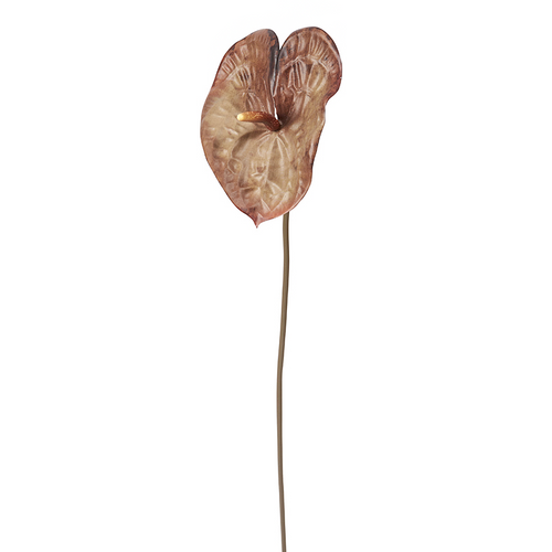 Sia Deco Kunstmatige Anthurium Stengel - Donkerbruin - H76 - vtwonen shop