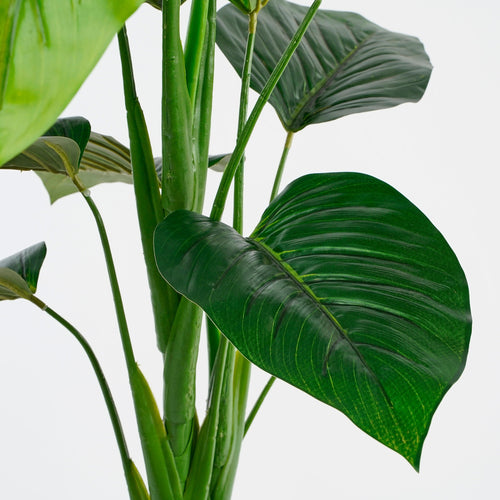 Mica Decorations Philodendron Kunstplant - H100x Ø70 cm - Groen