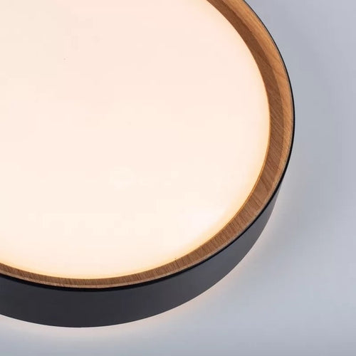 Paul Neuhaus plafondlamp Emilia - 1 lichts - 40  x 10   cm - zwart - vtwonen shop