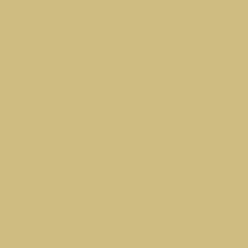 Graham & Brown Fortune Teller - Matte Muurverf - 4L