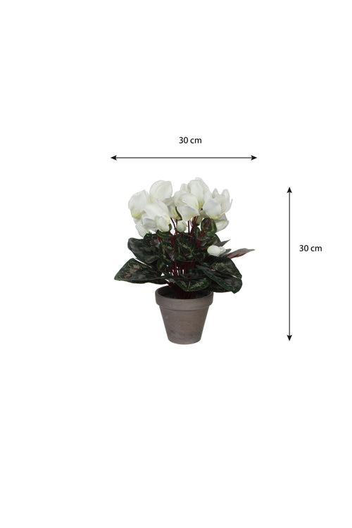 Mica Decorations Cyclaam Kunstplant in Bloempot Stan - H30 x Ø30 cm - Wit