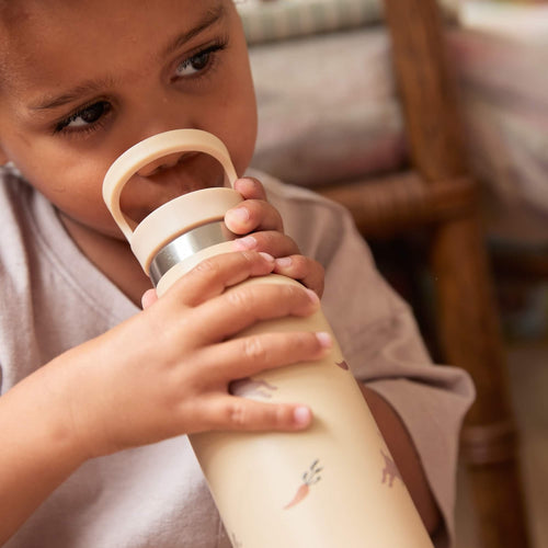 FILIBABBA Drinkfles Roestvrij staal