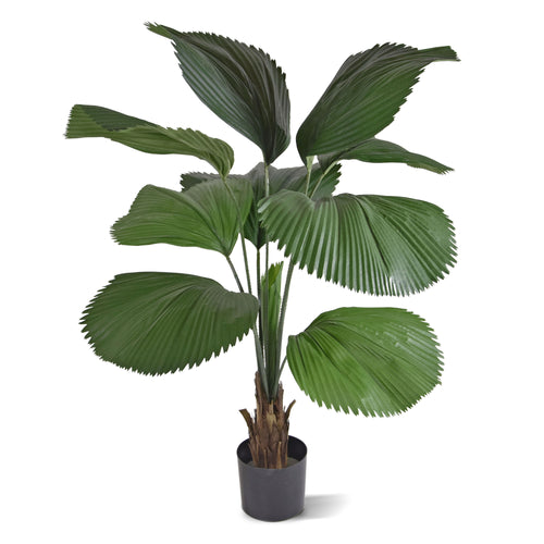 Maxifleur Licuala kunstpalm 115cm