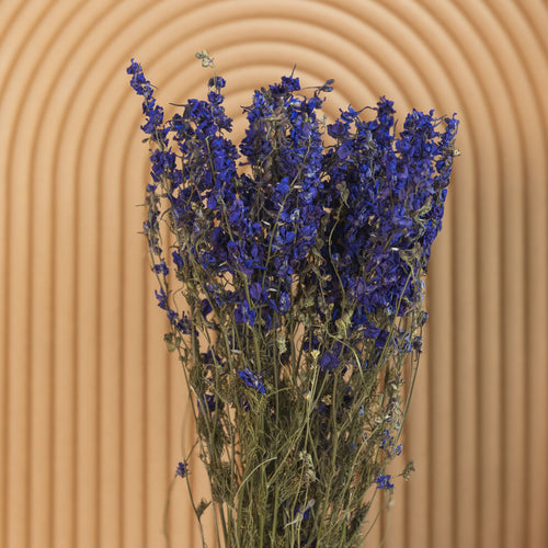 My Flowers.shop Blauw gedroogd Ridderspoor | Delphinium droogbloemen | Lengte 70 centimeter | Per bos - vtwonen shop