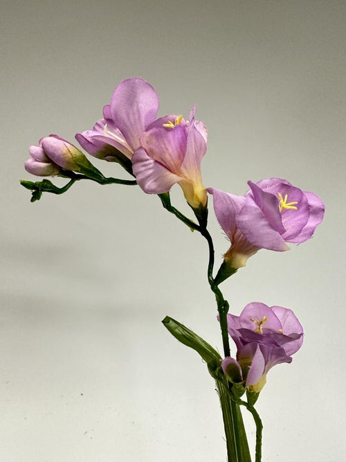 My Flowers.shop Lilakleurige freesia zijden bloem | Lengte 60 centimeter | Per stuk - vtwonen shop