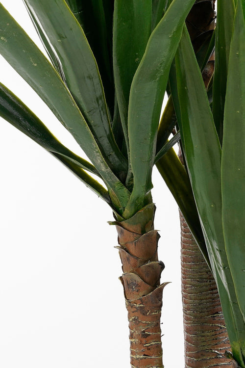 Mica Decorations Yucca Kunstplant - H160 x Ø80 cm - Groen - vtwonen shop