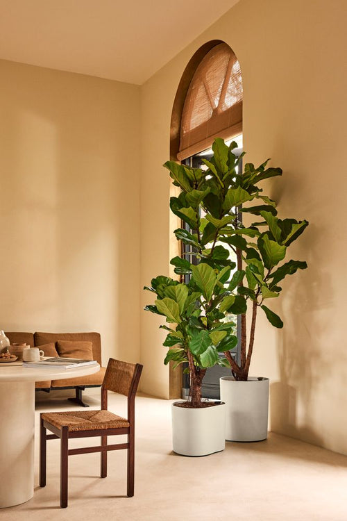 Elho Eden Aquacare Low Wit - vtwonen shop