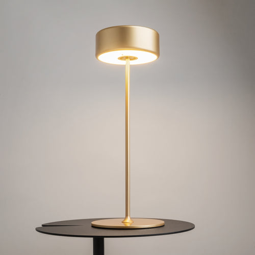 Maytoni - Batterijlamp AI Collaboration - Goud - Ø12