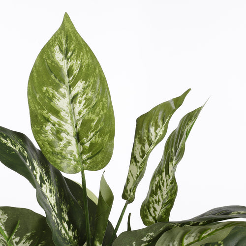 Mica Decorations Dieffenbachia Kunstplant in Bloempot Stan - H70 x Ø55 cm - Groen