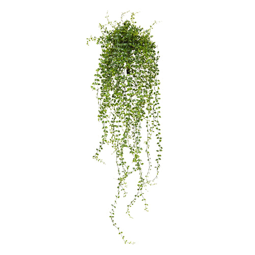 Maxifleur Callisia kunst hangplant 70cm - UV bestendig