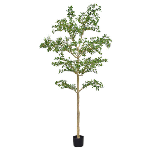Maxifleur Bucida shady Lady Kunstboom 270cm groen