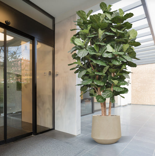 Maxifleur Lyrata Kolom Giant Kunstboom Deluxe 300cm