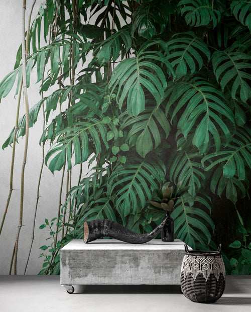 One Wall one Role fotobehang jungle-motief groen en grijs - 371 x 280 cm - AS-382411 - vtwonen shop